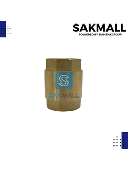 เช็ควาวล์สปริงทองเหลือง TS118 ขนาด 1 นิ้ว