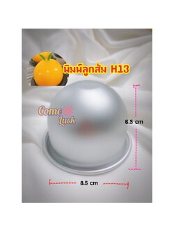 พิมพ์ลูกส้มH13 พิมพ์ลูกส้มตรุษจีนh13