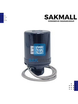 เพรสเซอร์สวิทซ์ 1.1-1.7 รู1/4 (PARNO)