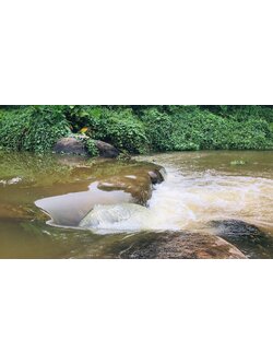 ที่ดินนครนายก ติดน้ำ ที่สวย มี 8 แปลง ต.นาหินลาด อ.ปากพลี จ.นครนายก โฉนดครุฑแดง