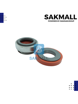 CM 301-20/42 (sic/sic/viton)