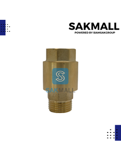 เช็ควาวล์สปริงทองเหลือง TS119 ขนาด 1/2 นิ้ว