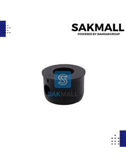 รูบู๊ชใบดำ B 19