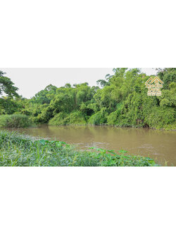 ที่ดินนครนายก ติดแม่น้ำ เนื้อที่ 4 ไร่ 2 งาน 64 ตรว. ต.สาริกา อ.เมือง จ.นครนายก