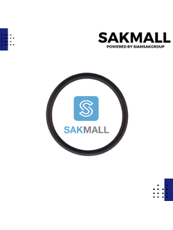 แหวนยางรองหน้าแปลนท่อทางดูดฮิตาชิ WT-P 350-400 EX,GP,GX แท้