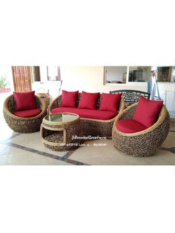 ชุดอพอลโลหวายแท้รังนก