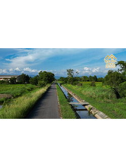 🌿 “ที่ดินสวนสวย ทำเลเงียบสงบ” 150 ตรว. ต.ศรีนาวา อ.เมือง จ.นครนายก 🌿