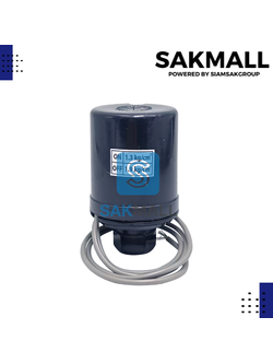 เพรสเซอร์สวิทซ์ 1.3-1.9 รู1/4 (PARNO)