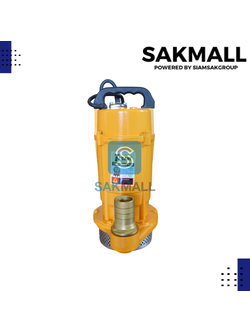 ปั๊มแช่ TASANI รุ่น QDX-550 (1 นิ้ว 1/2)