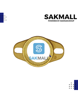 หน้าแปลนน้ำเข้า-ออก ฮิตาชิ 1 นิ้ว 1/4 ทองเหลือง แท้