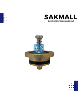 วาวล์กันน้ำกลับ 25 backflow valves