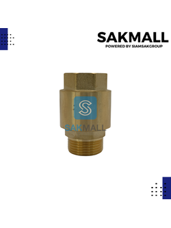 เช็ควาวล์สปริงทองเหลือง TS119 ขนาด 3/4 นิ้ว