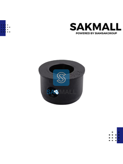 รูบู๊ชใบดำ B 20