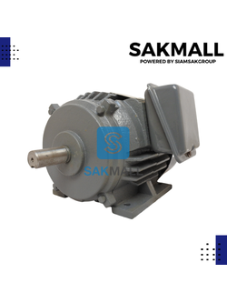 มอเตอร์ BLUE DRAGON 2 HP (3 เฟส) ทองแดงแท้