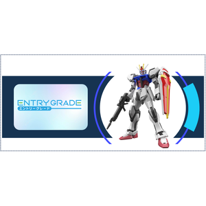 Entry Grade 1/144