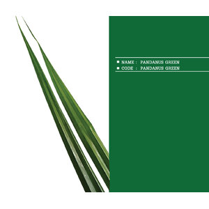 PANDANUS-GREEN