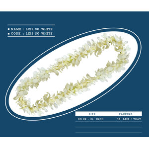 LEIS-SG-WHITE
