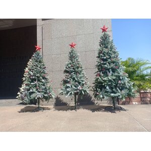 แบบต้นคริสต์มาสให้เช่ายอดนิยมในปี2023