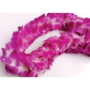 LEIS