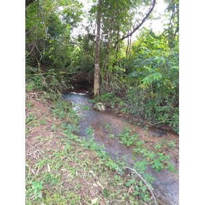 🏞️ “ผืนธรรมชาติกลางหุบเขา” 12 ไร่ 2 งาน 93.3 ตร.วา – ต.สาริกา อ.เมือง จ.นครนายก 🌳