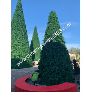 เลือกซื้อต้นคริสต์มาสเป็นSETรวมของตกแต่งBIG EVENT.