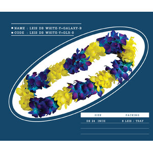 LEIS-DB-WHITE-Y+GLX-B