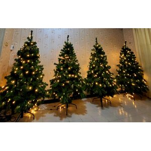 ราคาขายต้นคริสต์มาสปลอม ใบสนริจิด ต้นเปล่า 2025