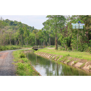 🌿 “มุมสงบแห่งภูกะเหรี่ยง” ที่ดินวิวเขา ริมคลองน้ำใส 297 ตรว. ต.หินตั้ง อ.เมือง จ.นครนายก สำเนา