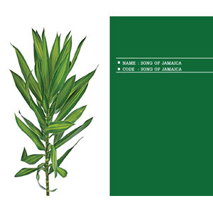 SONG-OF-JAMAICA