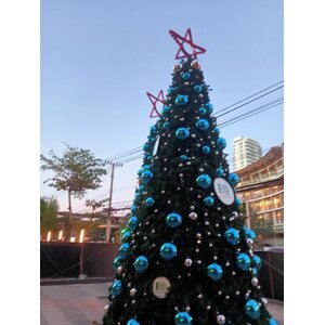 ต้นคริสต์มาสทรงกรวยให้เช่าขนาด12เมตร