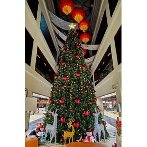 ให้เช่าต้นคริสต์มาสปลอมทุกรูปแบบ