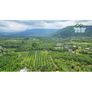 ที่ดินปราจีนบุรี