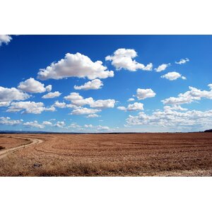 ที่ดินเปล่า