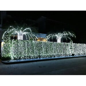 ต้นไม้ไฟให้เช่าตกแต่งสถานที่