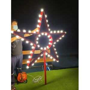 ดาวคริสต์มาส