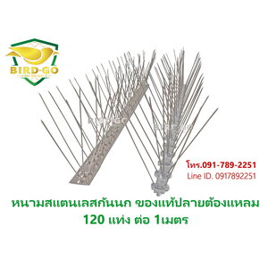 หนามสแตนเลสกันนก เกรดA แท้ *ปลายแหลม 120 แท่ง