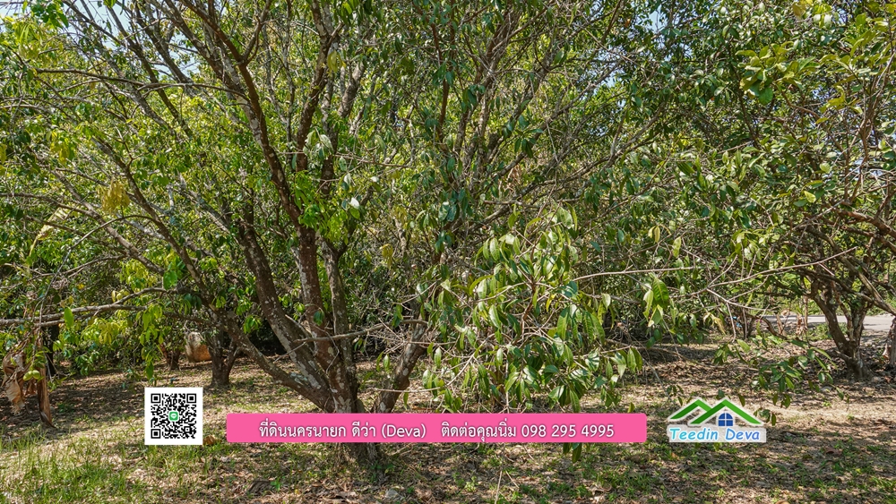 ขายสวนผลไม้ ทำเลดี ใกล้แหล่งท่องเที่ยว ขนาด 1-2-94 ไร่ ต.สาริกา อ.เมือง จ.นครนายก