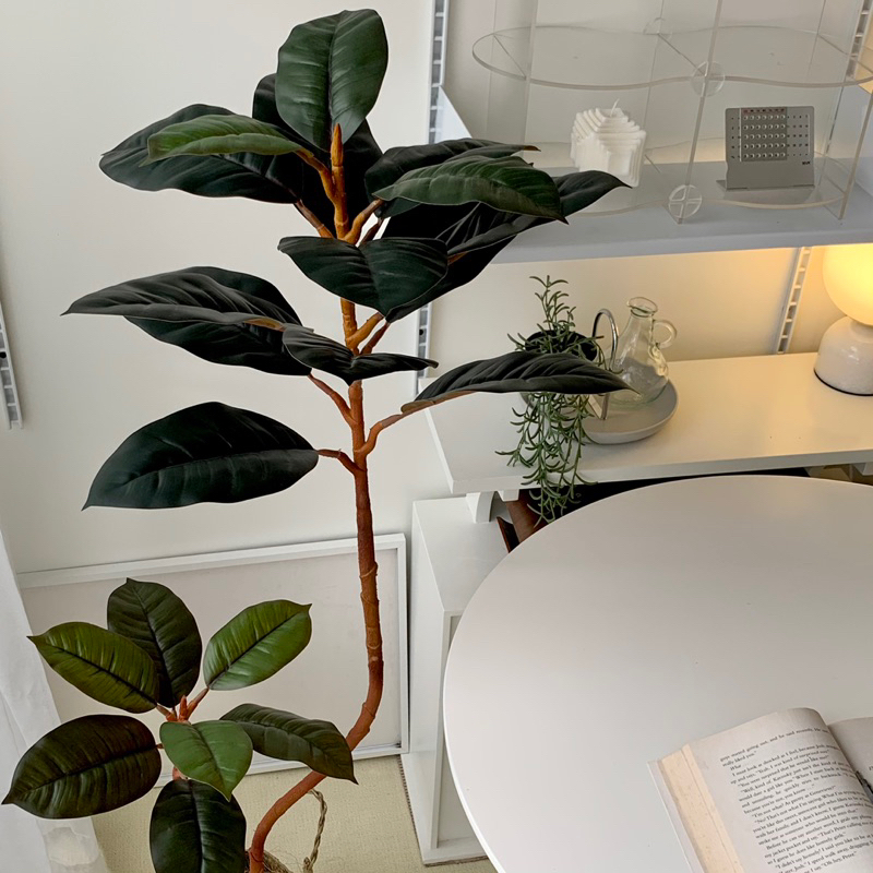 [พร้อมส่ง] Jnihouse : ต้นยางอินเดียประดิษฐ์ (Rubber Plant)(Tree)