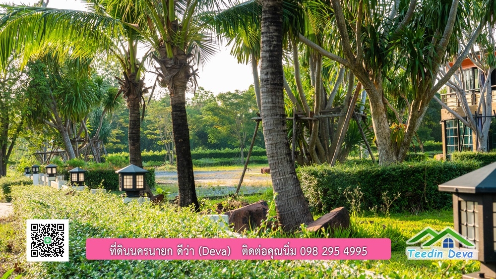 ขายบ้าน ทำเลธุรกิจ สามารถประยุกต์เป็นร้านอาหาร และคาเฟ่