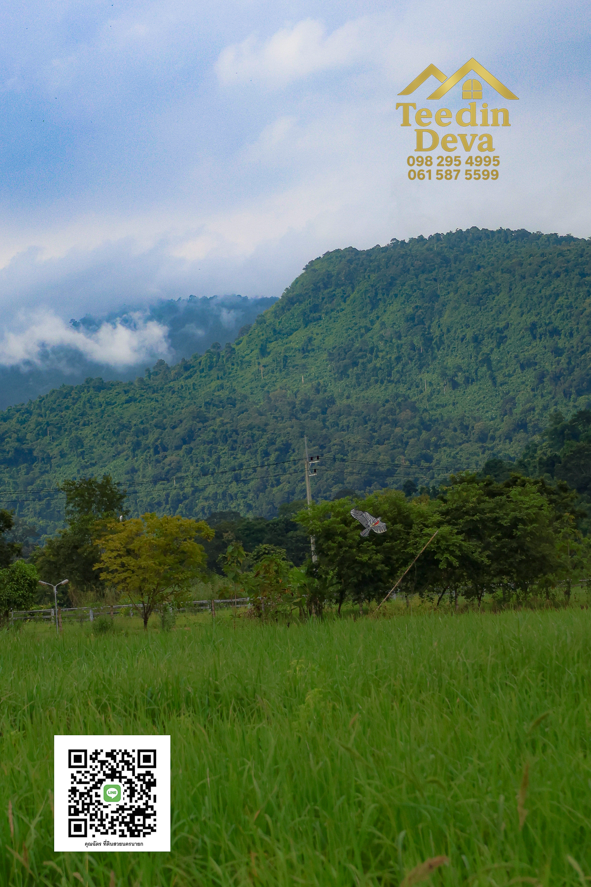 🏡✨ ที่ดินวิวภูเขา โอบด้วยธรรมชาติ…พักใจได้ทุกวัน 🌿 100 ตรว ต.เขาพระ อ.เมือง จ.นครนายก