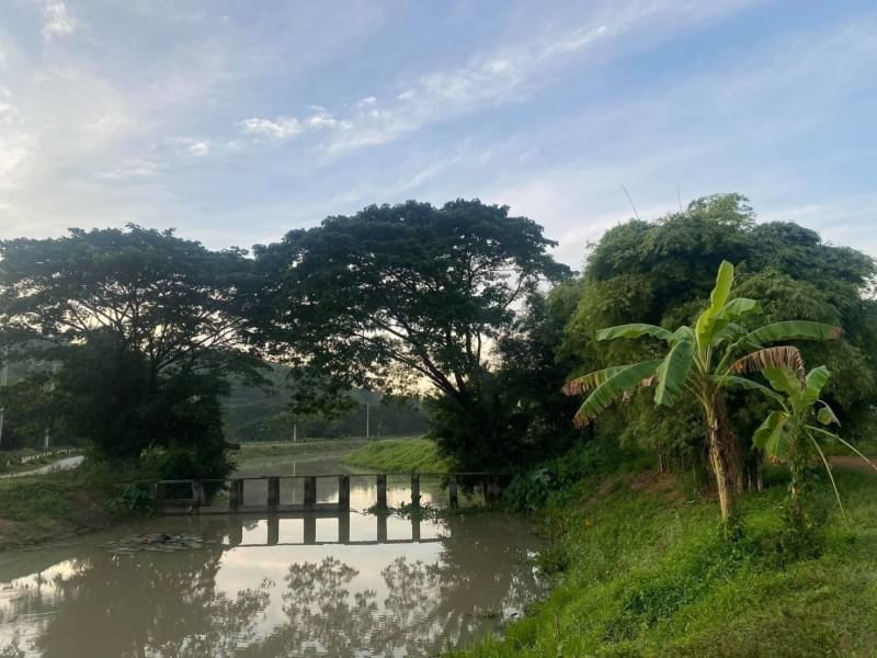 ที่ดินนครนายก วิวภูเขา ติดกับ ฝายทดน้ำ ถนนสาธาณะ พื้นที่ 516 ตร.ว. ต.เขาเพิ่ม อ.บ้านนา จ.นครนายก