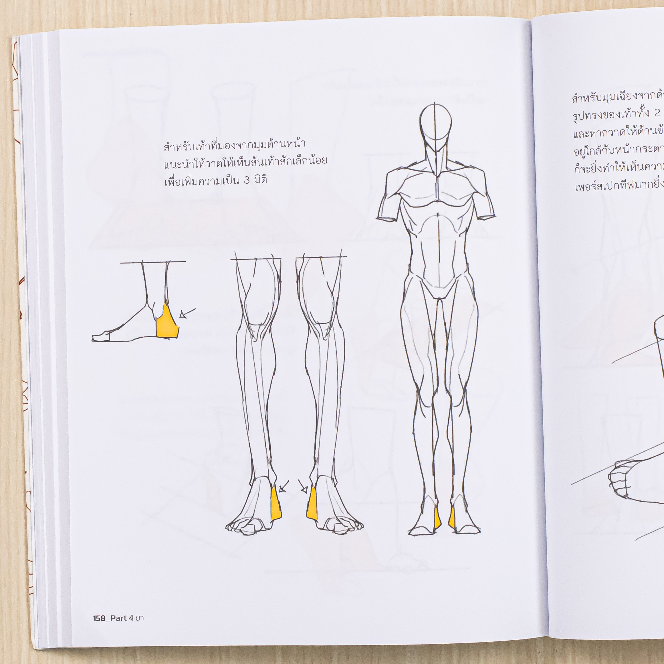 Infopress (อินโฟเพรส) หนังสือ Point Character Drawing เจาะลึกเทคนิค การวาดตัวละคร - 75722