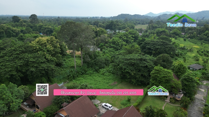 🌳 ที่ดินแปลงสวย 1 ไร่ 21 ตร.ว ใกล้กับแม่น้ำนครนายก บรรยากาศดี ร่มรื่น มีต้นไม้ใหญ่ในแปลง โฉนดครุฑแดง