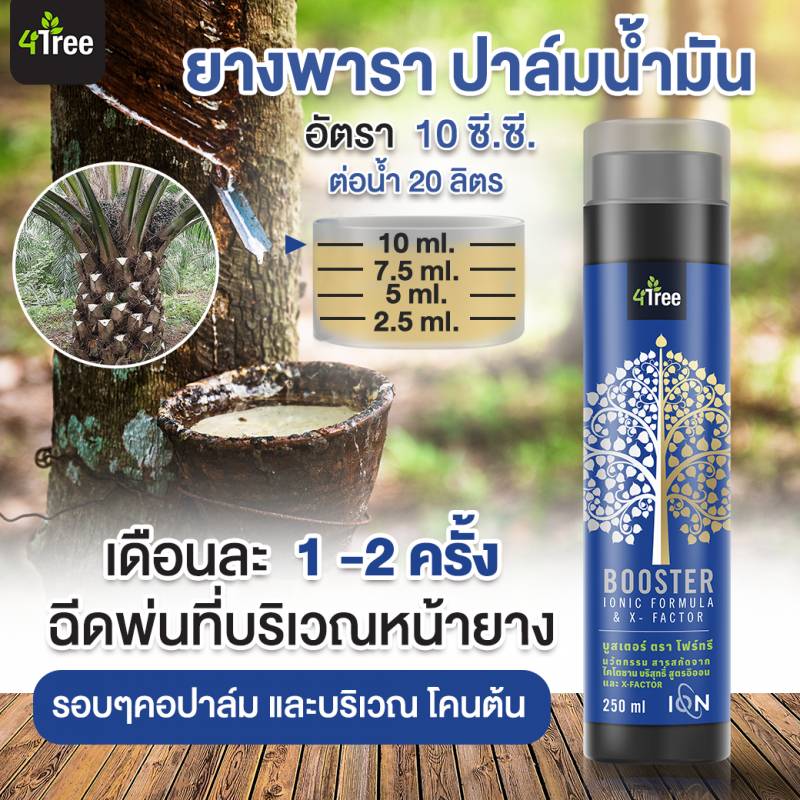4tree BOOSTER นวัตกรรมสารสกัดจากไคโตซาน