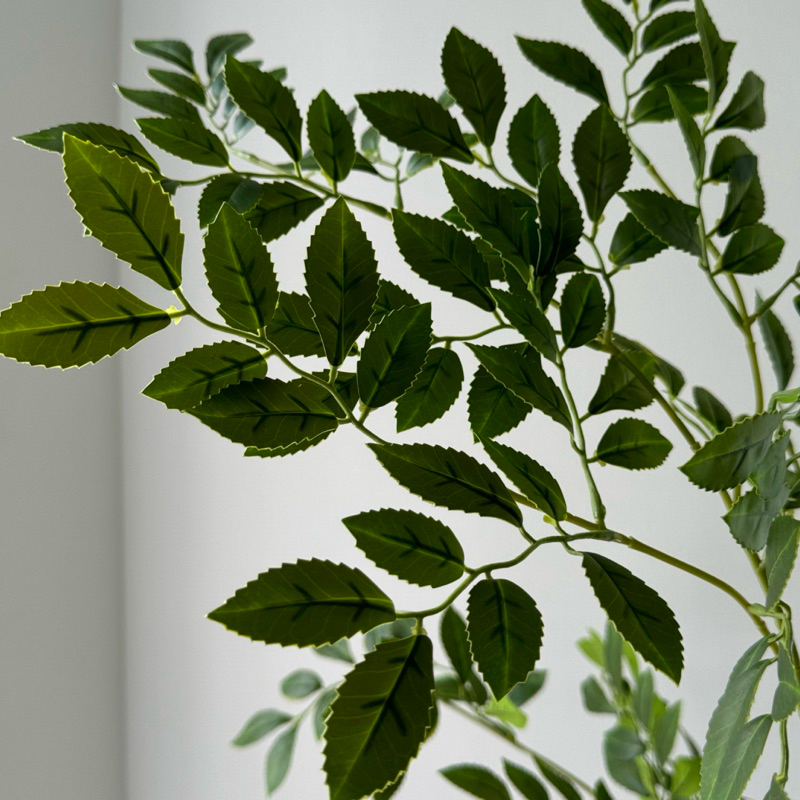 [พร้อมส่ง] Jnihouse : ต้นไม้ประดิษฐ์สูง 160 cm (Tree)