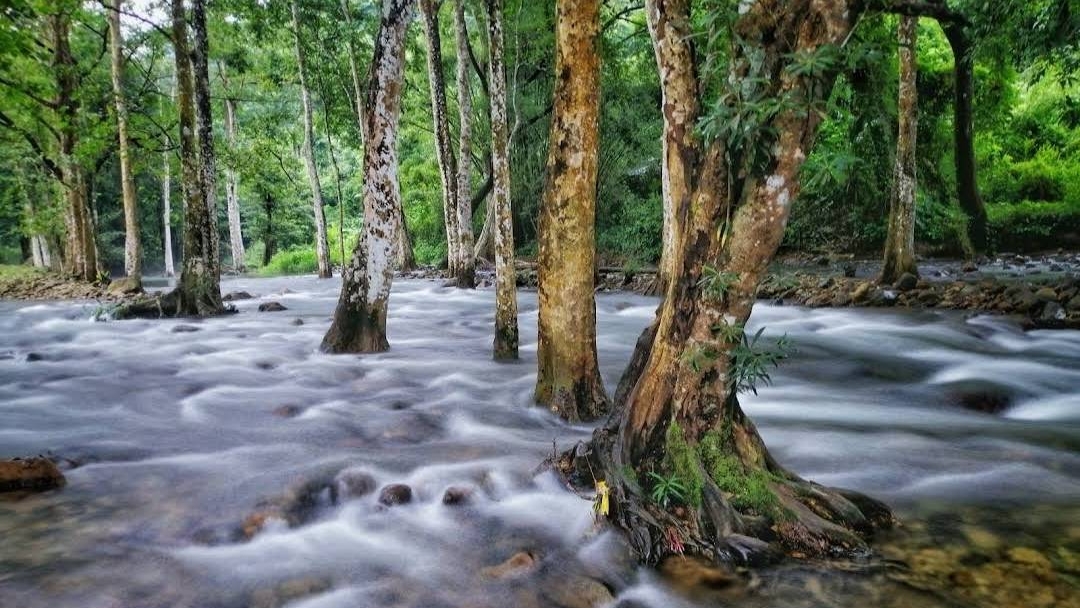 ที่ดินนครนายก ติดลำธารสวย บรรยากาศดีมากๆ วิวภูเขาล้อมพาโนราม่า ต.สาริกา อ.เมือง จ.นครนายก โฉนดครุฑแดง