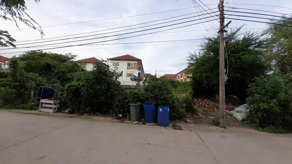 ขายที่ดินอ่อนนุช 17 สวยมากหน้ากว้าง 201 ตารางวา (N.613)