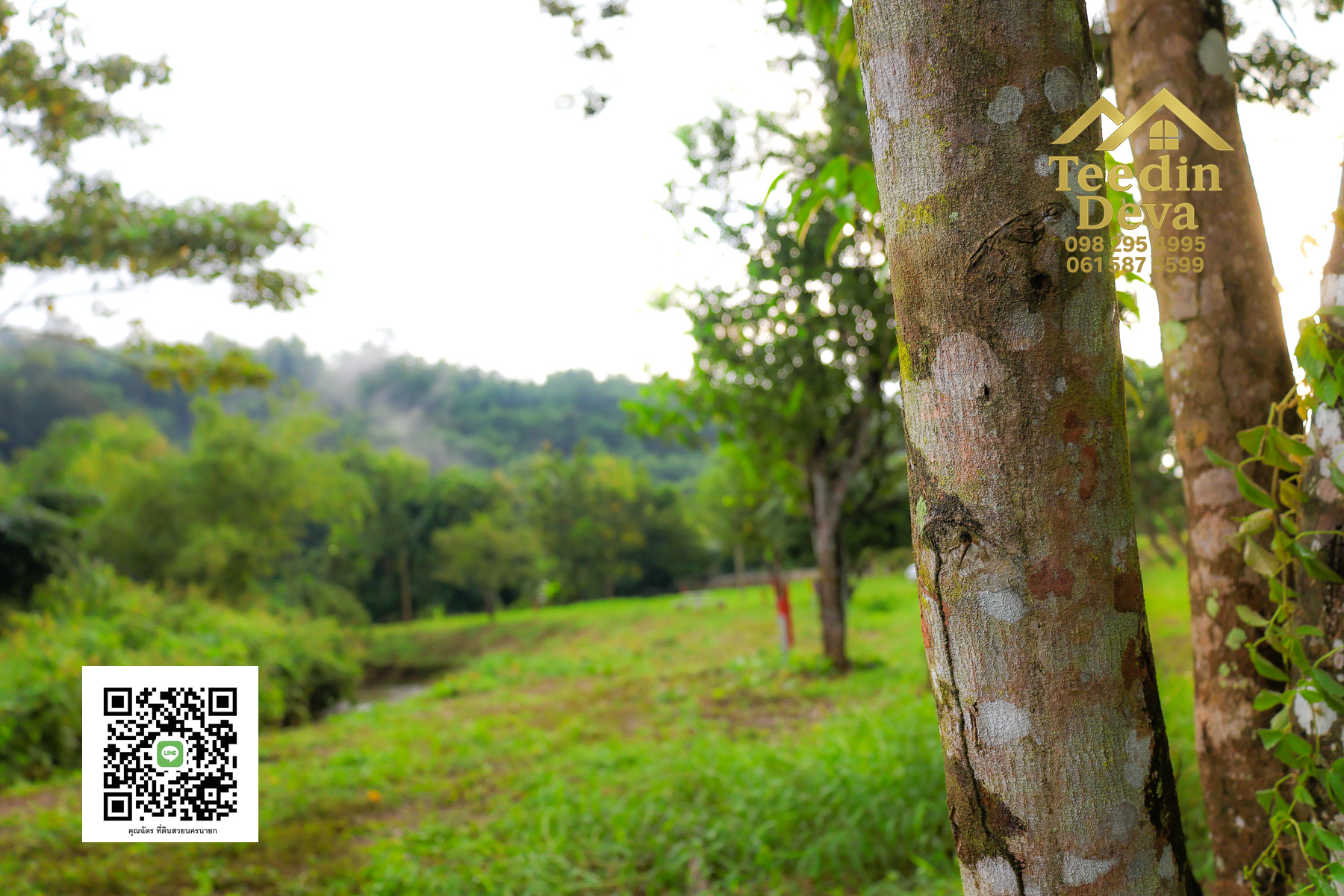 🌿 สร้างบ้านในฝัน วิวเขาใหญ่ ติดริมลำธารธรรมชาติ 237 ตร.ว. ต.หินตั้ง อ.เมือง จ.นครนายก 🌄