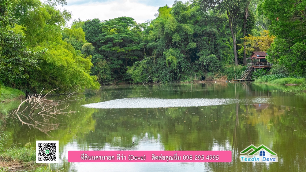 ที่ดินนครนายก ติดแม่น้ำ 14 ไร่ พื้นที่ติดแม่น้ำ 400 เมตร ชมลำธารสวยๆ บรรยากาศสบายๆ ต.สาริกา อ.เมือง จ.นครนายก