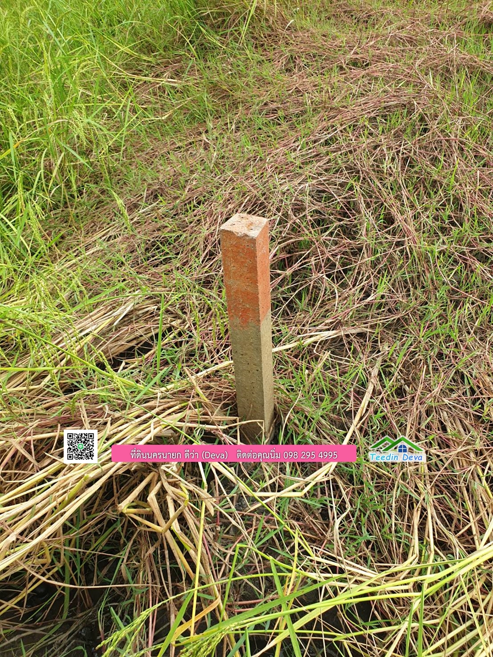 ที่ดินแปลงสวย ราคาถูก เนื้อที่ 33-1-67 ไร่ ราคาไร่ละ 250,000 บาท การเดินทางสะดวก อยู่ใกล้จุดชมนกเหยี่ยวหูดำ อ.ปากพลี จ.นครนายก